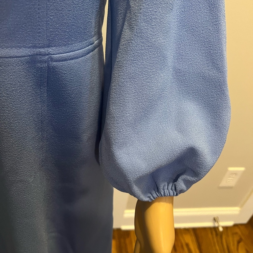 Eliza J Seamed Long Sleeve Dress (Brand New) - Picture 4 of 5